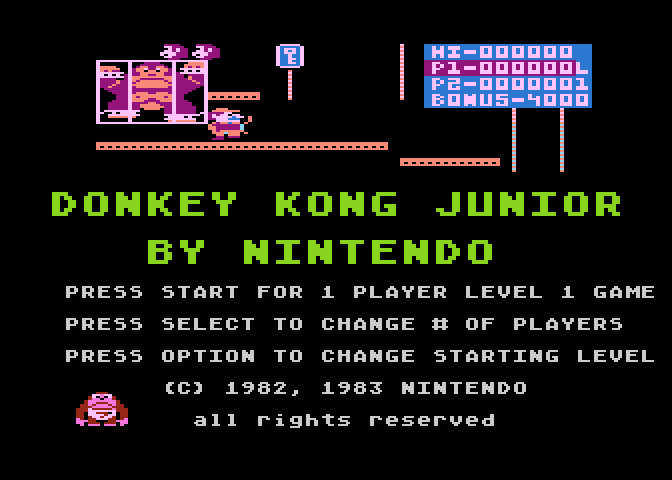 Donkey Kong Junior